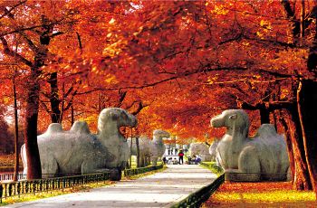 新鄉(xiāng)到武陟汽車站時(shí)刻表-如何快速準(zhǔn)確地查詢新鄉(xiāng)到武陟的汽車出發(fā)時(shí)間？